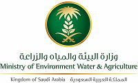 Ministry_of_Sport_(Saudi_Arabia)_Logo.svg 9